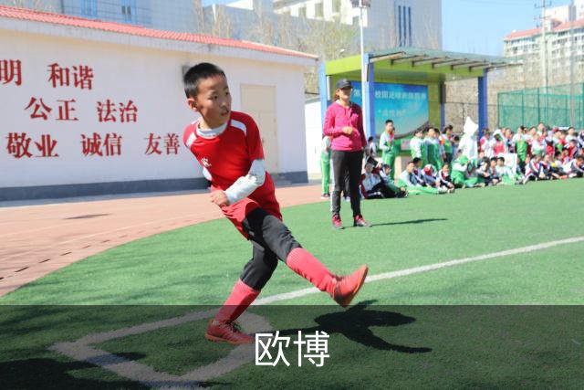 欧博公司介绍图片
